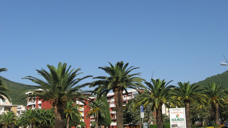 Budva