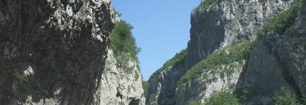 cropped-cropped-IMG_0138.jpg